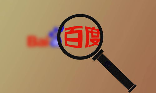 外推软件排名代发